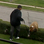 September 27, 2010